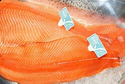 Certificación ASC crea nuevo estándar para alimentos de salmón
