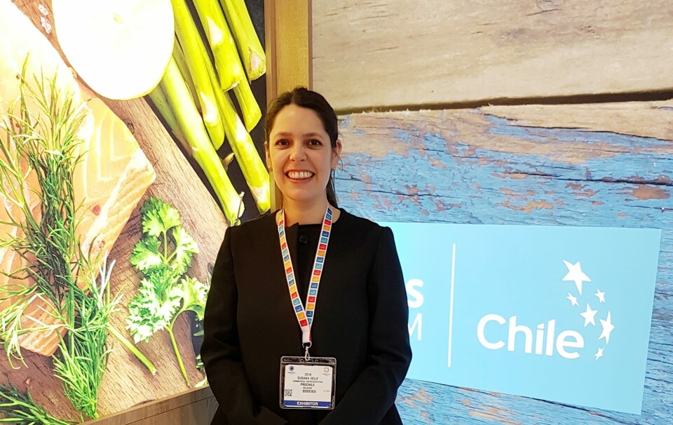 Susana Véliz, representante comercial de ProChile en Bélgica. Foto: ProChile.