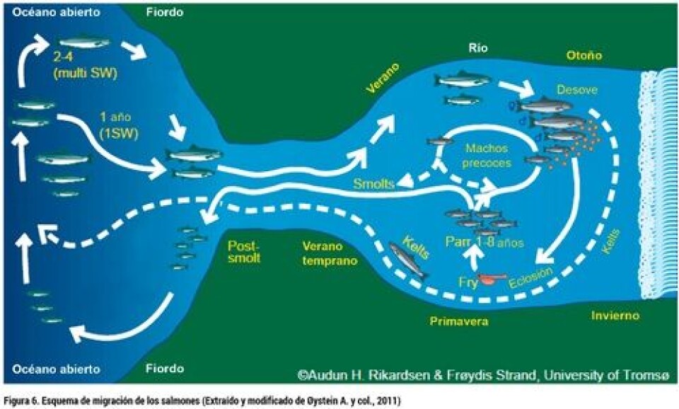 Bases Biológicas de la Esmoltificación