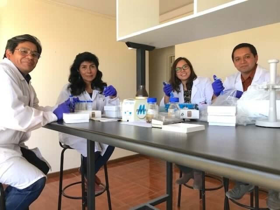 Los científicos participantes del proyecto chileno-peruano. Foto: Ceaza.
