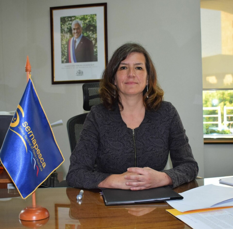 Alicia Gallardo, directora nacional de Sernapesca. Foto: Sernapesca.