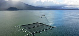 Chile: Crearán primera guía para seguridad de estructuras en acuicultura oceánica