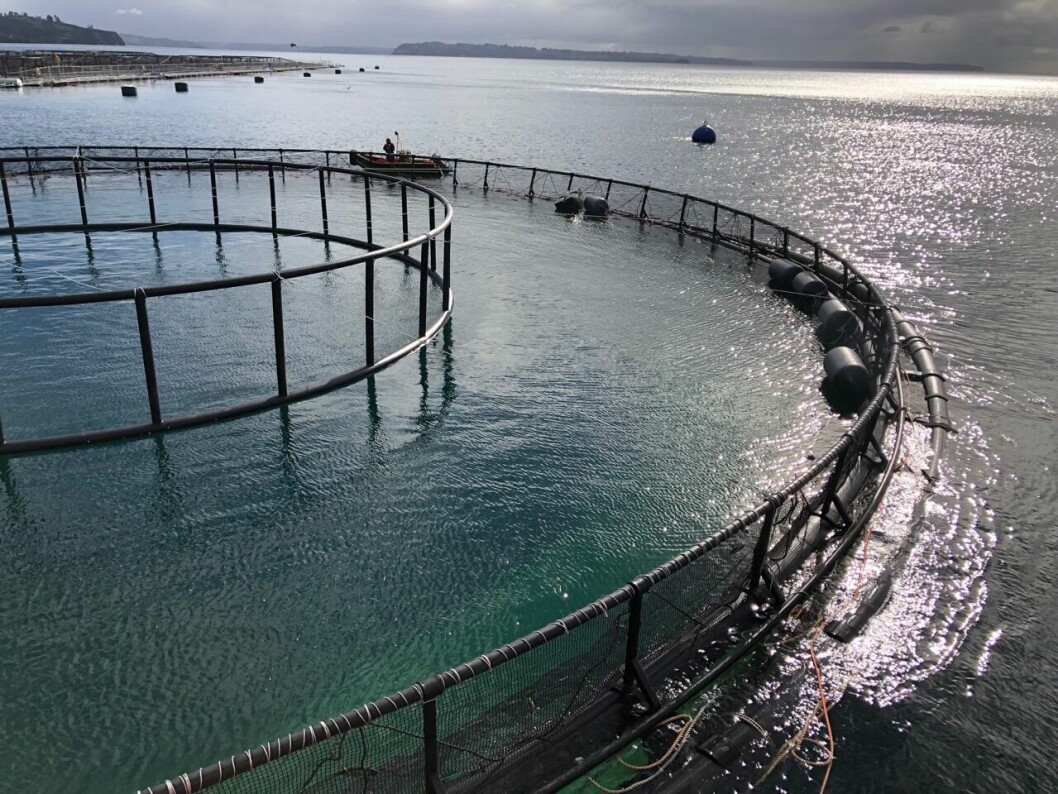 Primera balsa jaula sumergible para acuicultura oceánica en Chile. Foto: EcoSea Farming SpA.