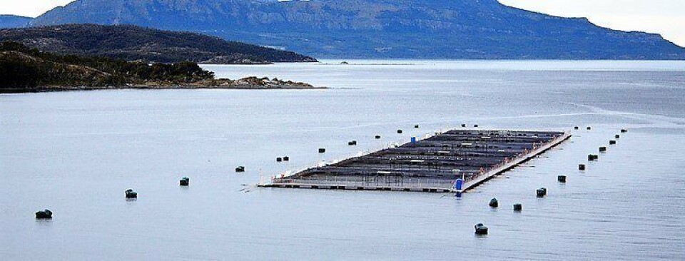 Centro de cultivo. Foto: Archivo Salmonexpert.