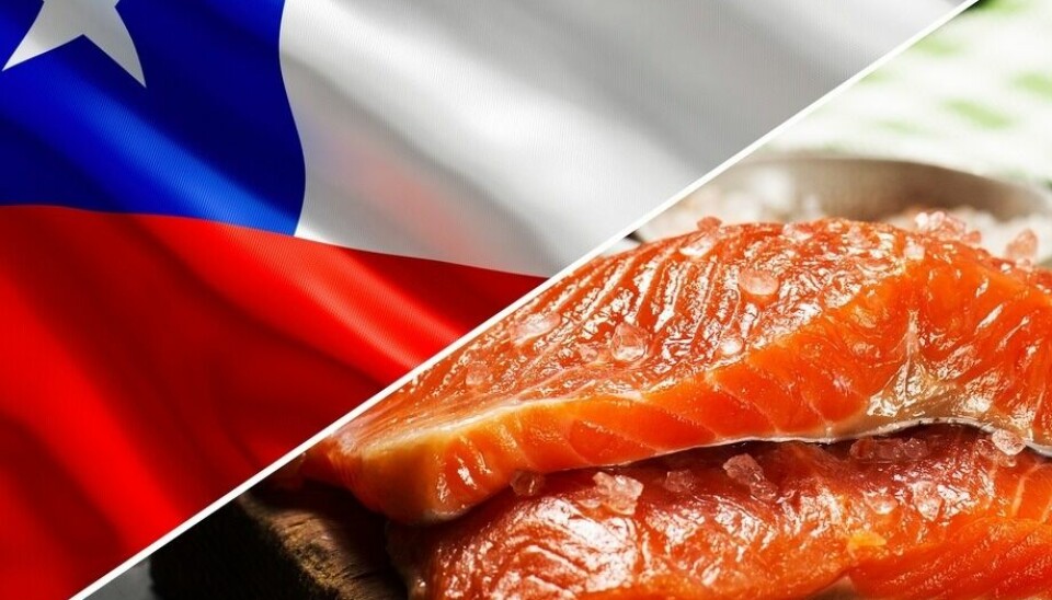 El volumen total de exportaciones de salmón y trucha durante el 2022 alcanzó las 751 mil toneladas.