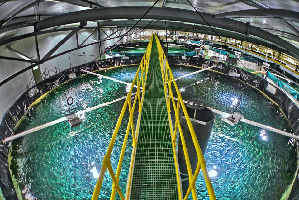 Imagen referencial de Billund Aquaculture. Foto: Billund Aquaculture.