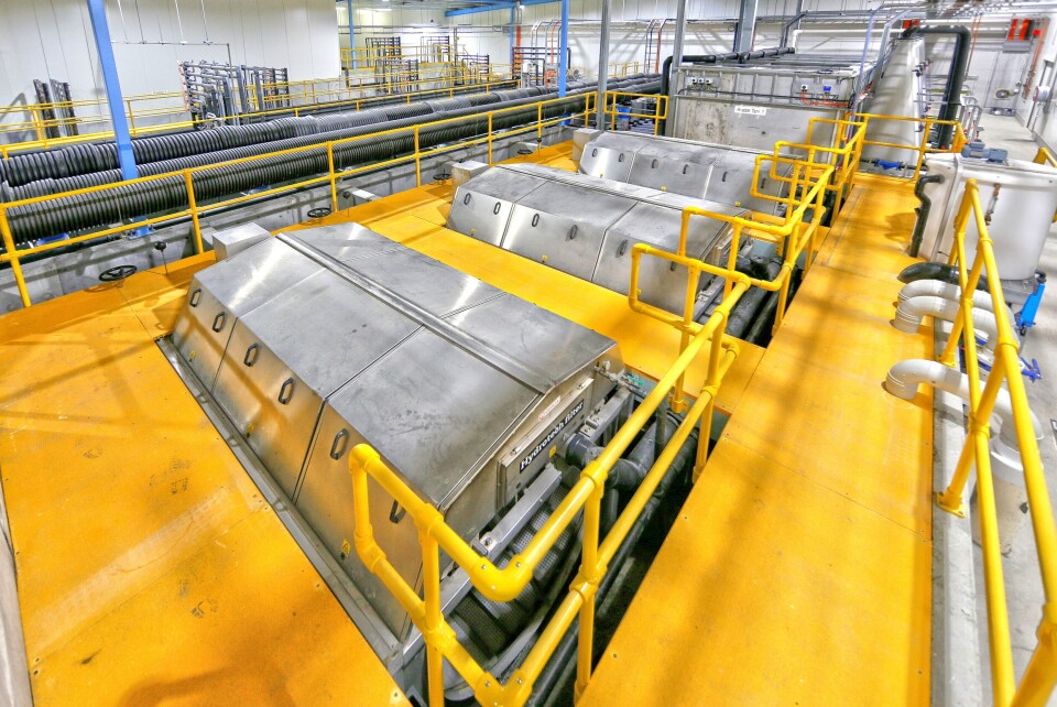 Imagen referencial de sistema RAS de alevines. Foto: Billund Aquaculture.