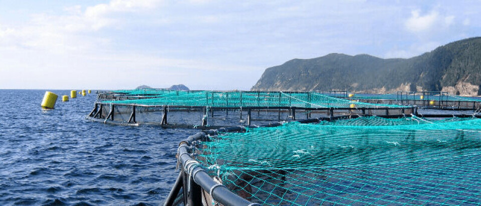 Foto referencial de centro de cultivo. Foto: Archivo Salmonexpert.