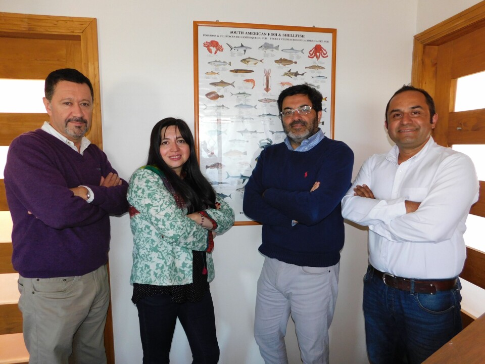 Los nuevos Key Account Manager de Bioled. Foto: Bioled.