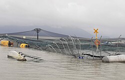 Chilenos crean sistema de pronósticos y alertas ambientales por centro de salmón