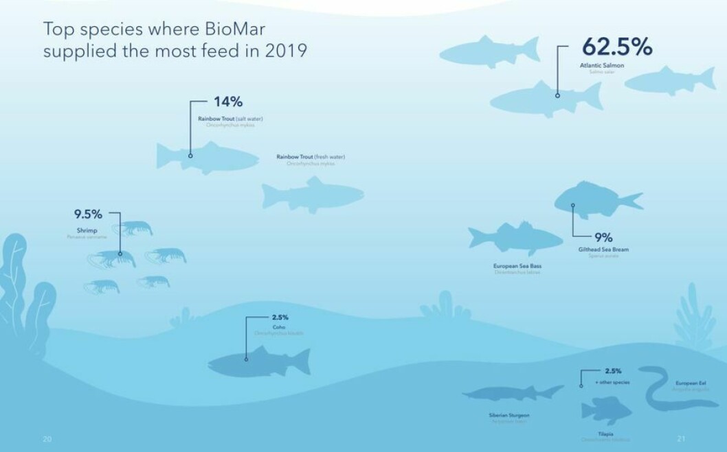 Casi dos tercios del negocio de BioMar fueron proporcionados por la industria del salmón. Gráfico: BioMar.