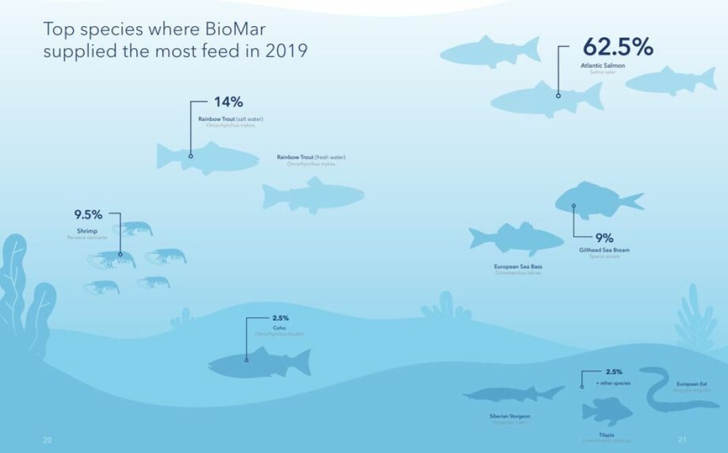 Casi dos tercios del negocio de BioMar fueron proporcionados por la industria del salmón. Gráfico: BioMar. Casi dos tercios del negocio de BioMar fueron proporcionados por la industria del salmón. Gráfico: BioMar.