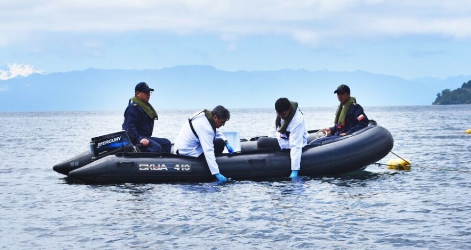 Toma de muestras del agua del lago Llanquihue para su posterior análisis. Foto: USS.