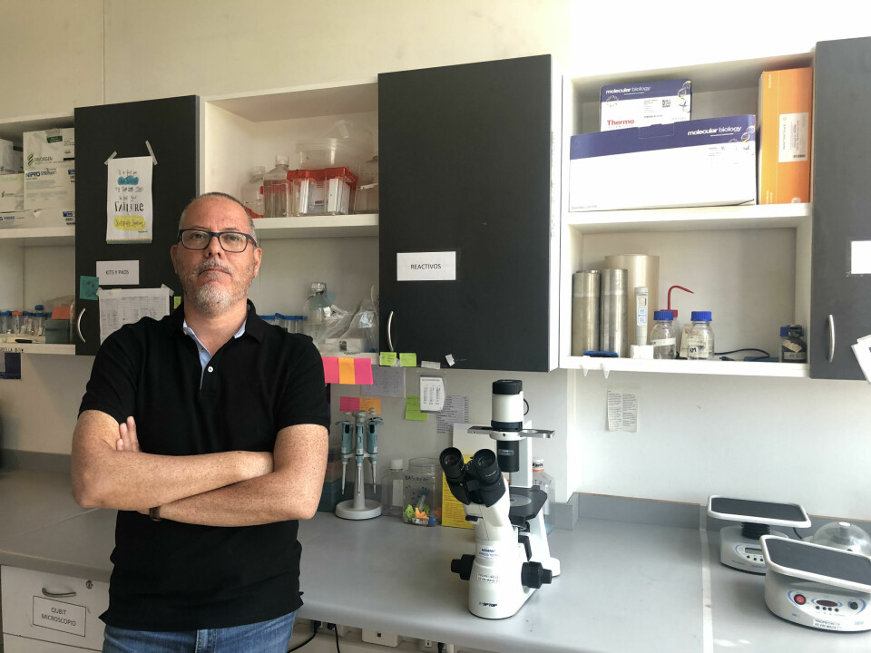 Dr. Kevin Maisey, profesor asistente del Centro de Biotecnología Acuícola (CBA), de la Universidad de Santiago de Chile (Usach). Foto: Cedida.