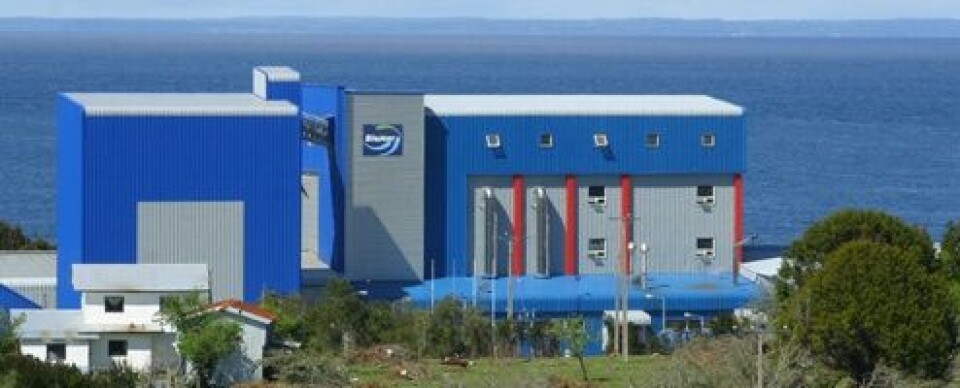 Instalaciones de Biomar en Pargua, Chile. Foto: Biomar