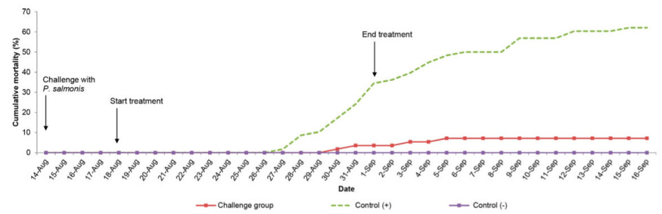 Mortalidad acumulada (%) por fecha del experimento. Grupo de desafío infección experimental: Tanques 2 y 3; Control (+) (sin medicación): Tanques 5 y 6; Control (-) (no infectados). Fuente: San Martín y col., 2019.