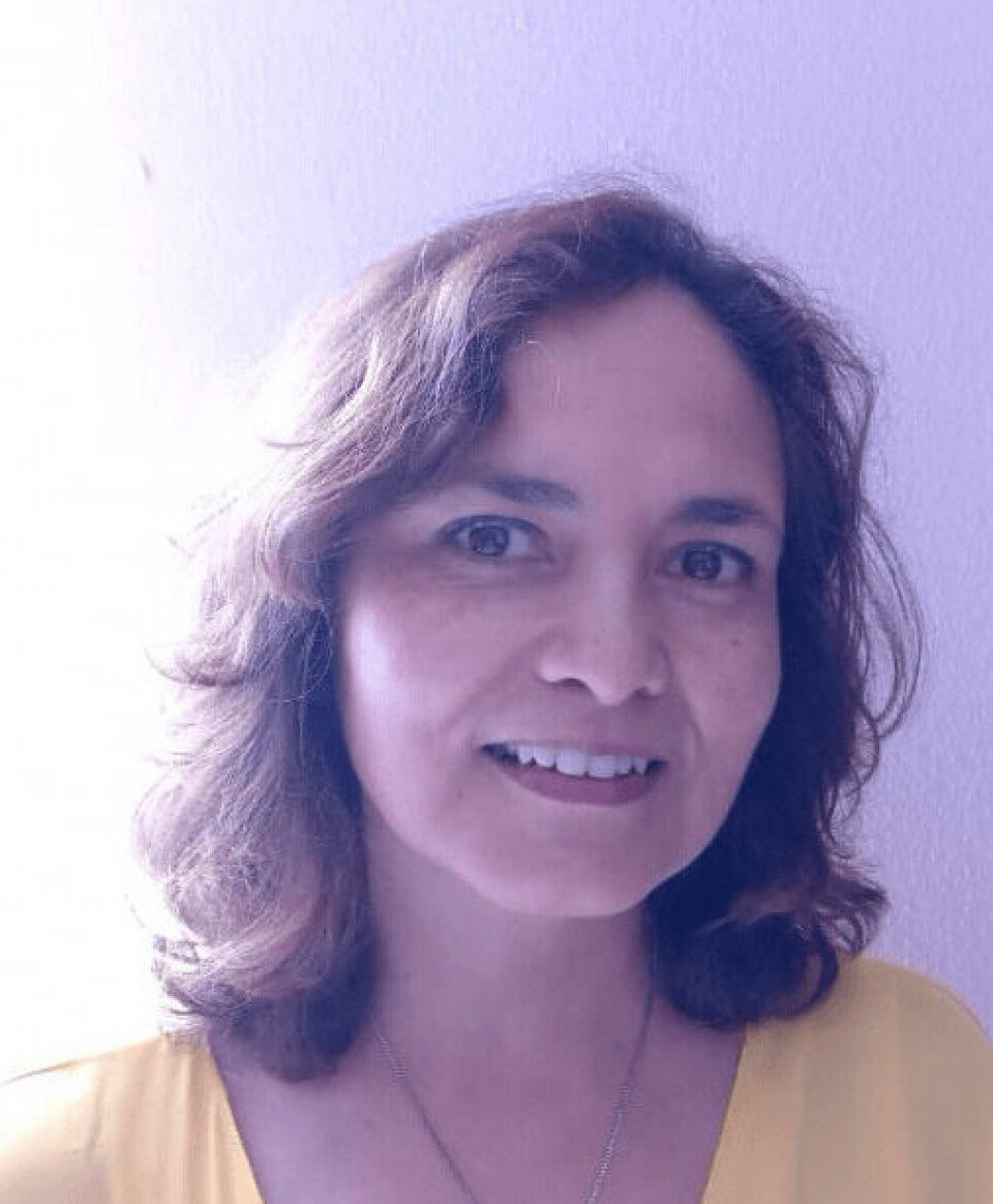 Dra. María Teresa González, académica de la Universidad de Antofagasta. Foto: María González.