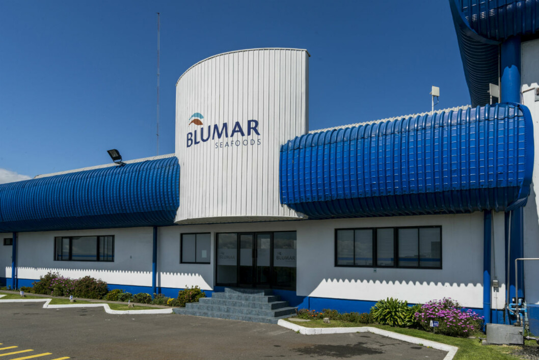 Fachada de oficinas de Blumar. Foto: Blumar. Fachada de oficinas de Blumar. Foto: Blumar.