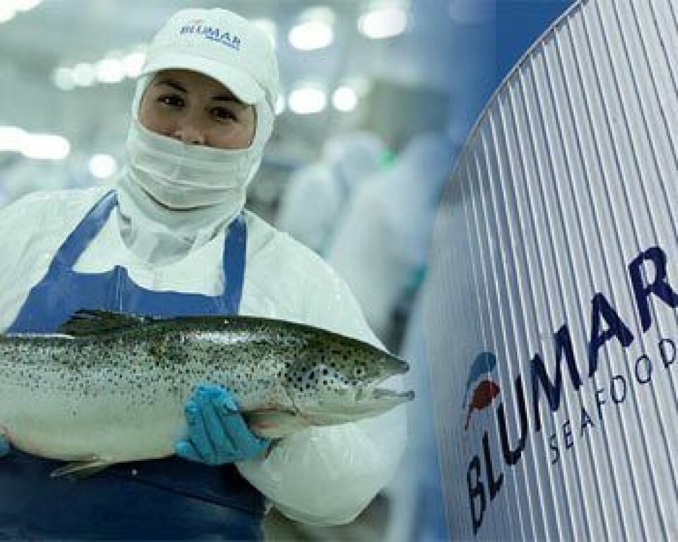Salmones Blumar prevé recuperación para el próximo año
