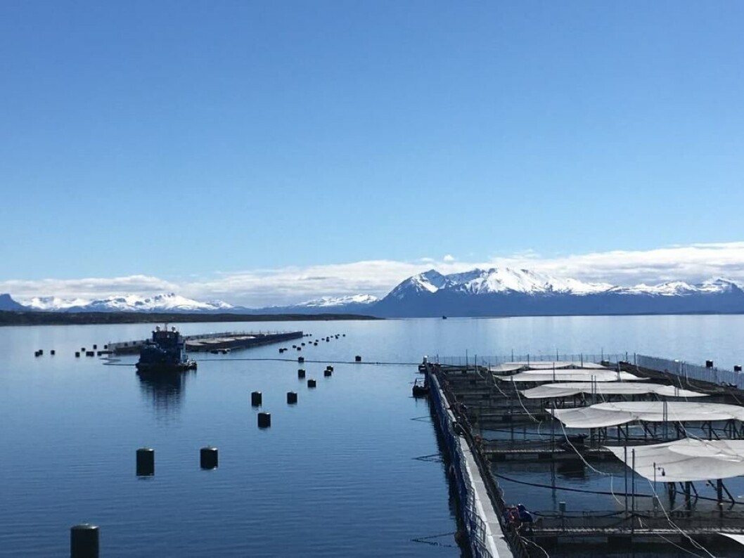 Centro de cultivo de Salmones Blumar en la región de Magallanes. Foto: Salmones Blumar. Centro de cultivo de Salmones Blumar en la región de Magallanes. Foto: Salmones Blumar.