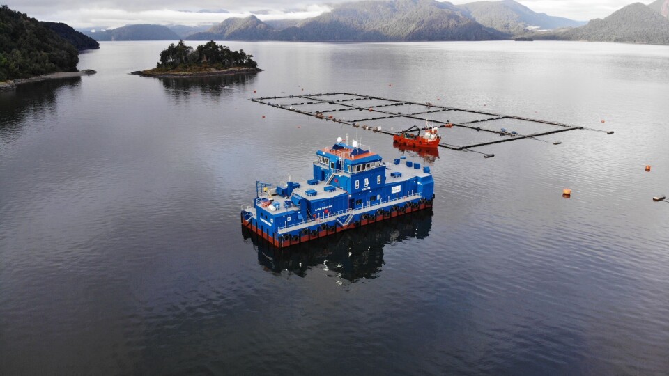 'Lago Espolón' tiene capacidad para almacenar 400 toneladas de alimentos para salmones. Foto: Blumar.