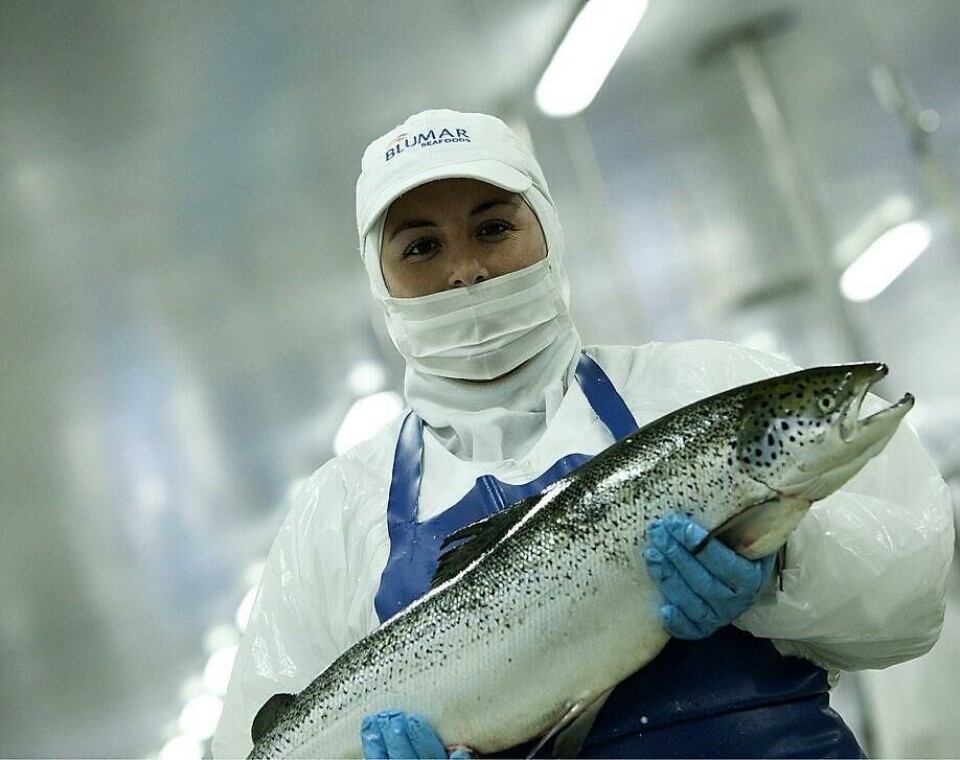 Foto: Archivo Salmonexpert.