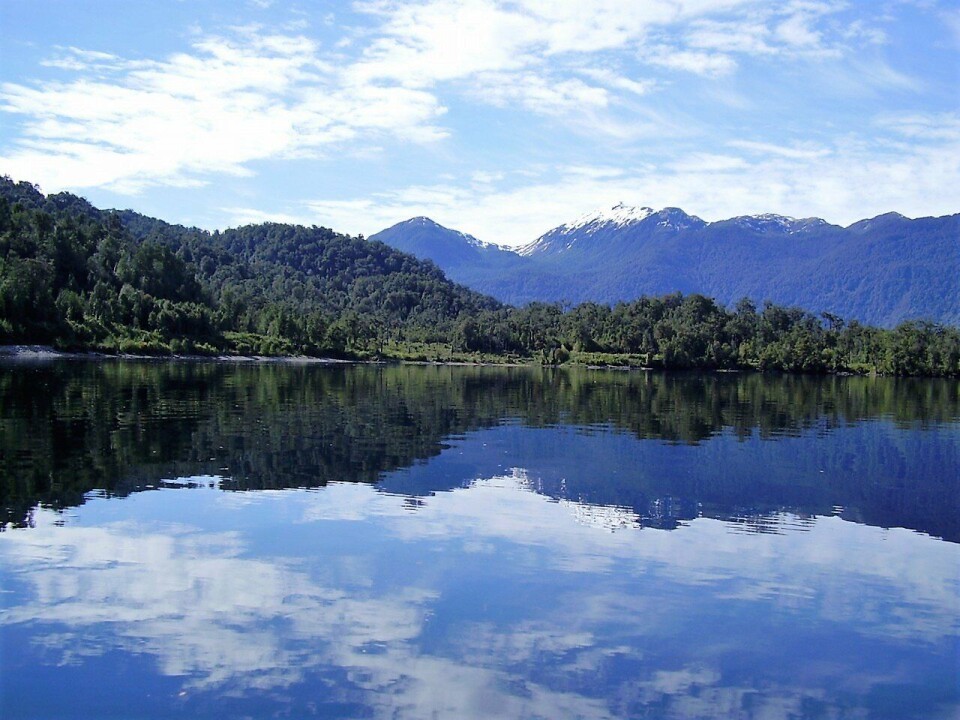 Fiordo Quitralco. Foto: Codeff