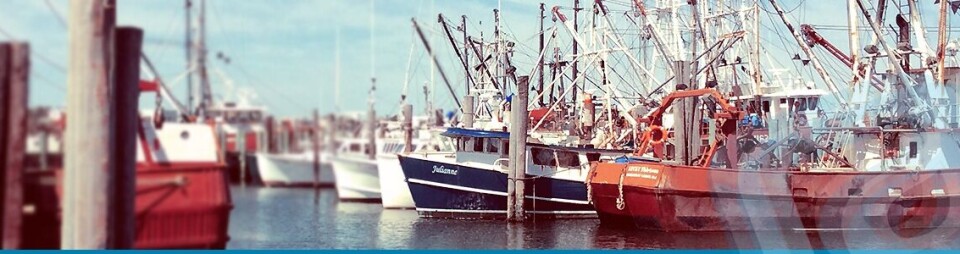 Bluwrap exhibirá salmón fresco de Magallanes en Estados Unidos