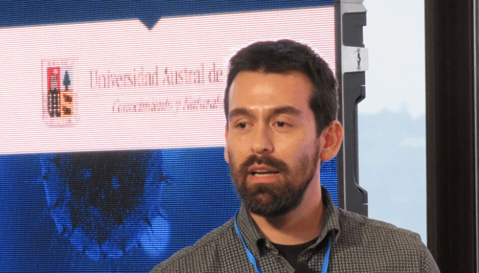 Dr. Carlos Loncoman, investigador de la Universidad Austral de Chile (UACh). Foto: Salmonexpert.