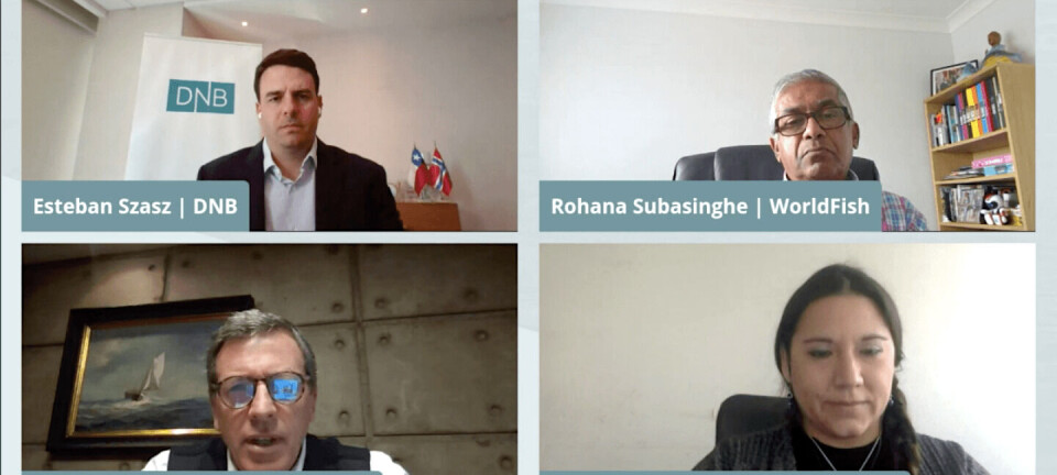 Bonos verdes y cultivo en tierra surgen como tendencias verdes en salmonicultura