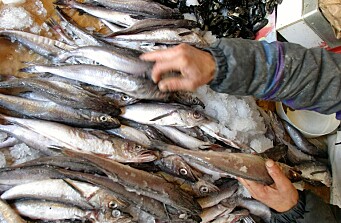 FAO: el rol de la pesca y acuicultura en el Acuerdo de París