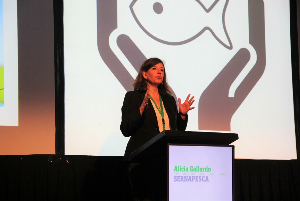 Alicia Gallardo, subdirectora de acuicultura del Sernapesca. Foto: Francisco Soto.