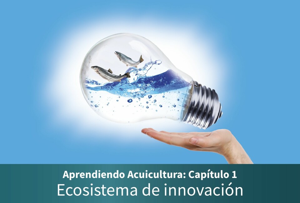 El nuevo compendio es una iniciativa desarrollada en alianza con el Club de Innovación Acuicola
