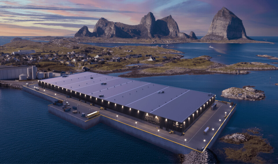 Una ilustración de las instalaciones planificadas de Gaia Salmon en Træna, Noruega.