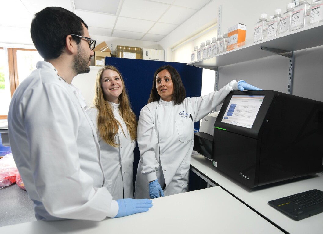 GeneXpertise es una consultoría y revisión genética para asesorar mejores prácticas genéticas en trucha arcoíris. Foto: Xelect. GeneXpertise es una consultoría y revisión genética para asesorar mejores prácticas genéticas en trucha arcoíris. Foto: Xelect.