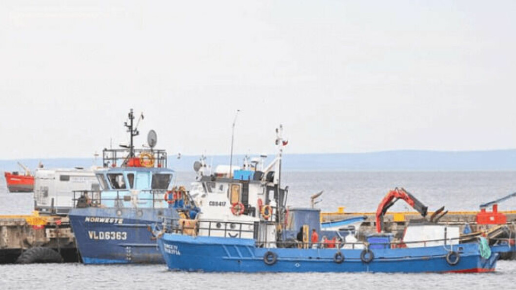 Afectados trabajan en embarcaciones que prestan servicios a la industria. Foto: La Prensa Austral.