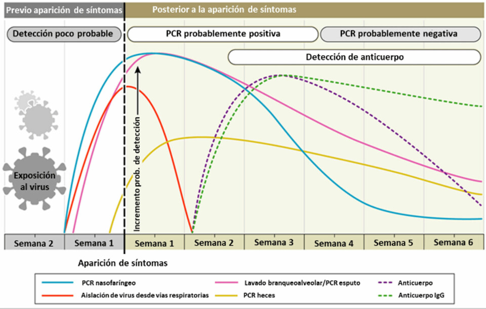 Figura 3. Variación estimada en el tiempo de diagnóstico para la detección de SARS-CoV-2, desde el inicio del contagio (Modificado de Sethuraman et al., 2020).