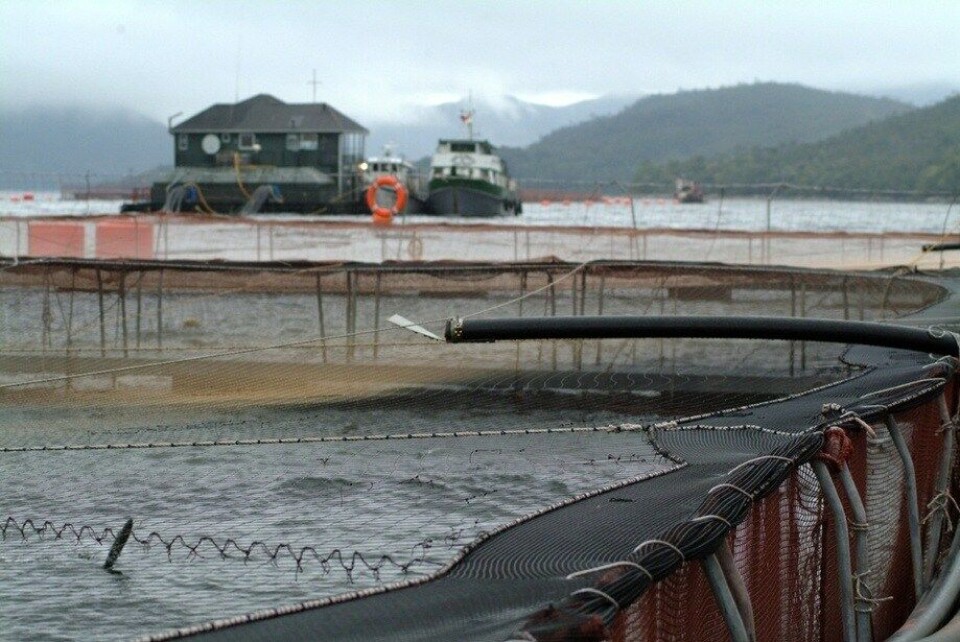 Imagen referencial de centro de cultivo de salmón. Foto: Archivo Salmonexpert.
