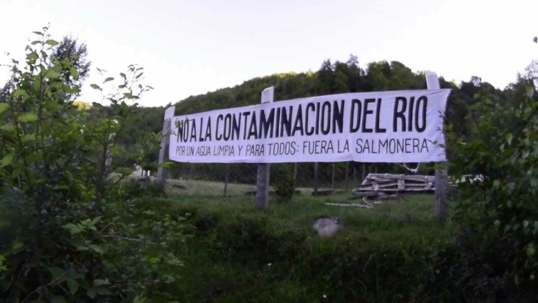 Comunidades aledañas a piscicultura estaban en contra del proyecto por afectar espacios ceremoniales mapuche. Foto: Diario UChile. Comunidades aledañas a piscicultura estaban en contra del proyecto por afectar espacios ceremoniales mapuche. Foto: Diario UChile.