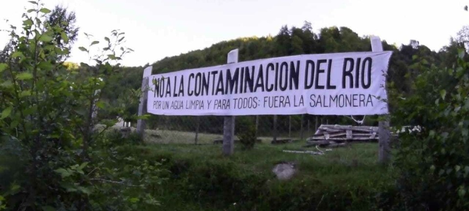 Comunidades aledañas a piscicultura celebran dictamen de Tribunal Ambiental