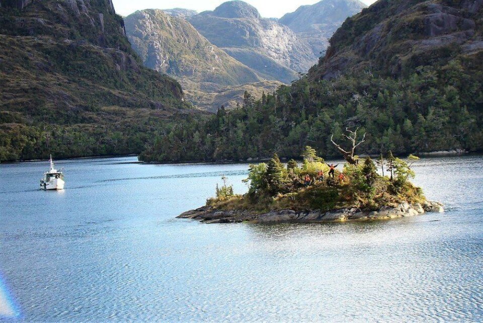 Reserva Nacional Alacalufes. Foto: Conaf Región de Magallanes.
