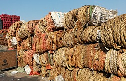 Cadena de reciclaje de residuos salmonicultores continúa pese a la emergencia sanitaria
