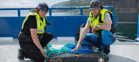 Empresa tecnológica noruega recibe inversión para crecer en la industria chilena del salmón