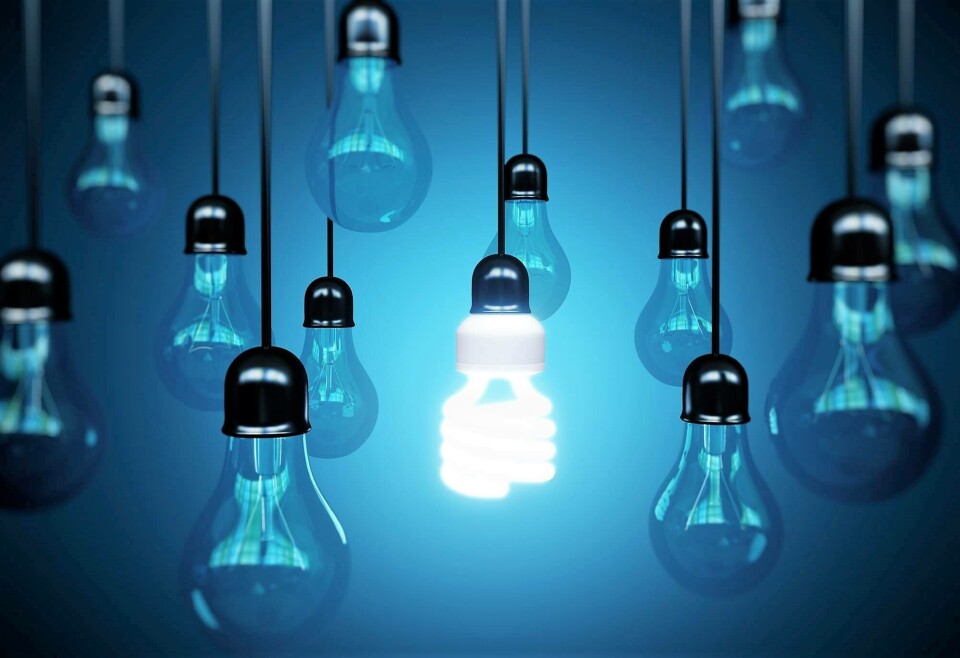 Salmonicultoras desarrollan proyectos por US$ 70 millones para innovación