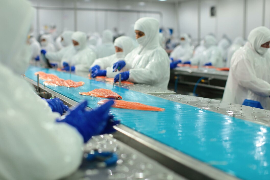 Cifra de desocupación para las mujeres en tanto, alcanzó un 8,2% a nivel regional. Foto: Archivo Salmonexpert. Cifra de desocupación para las mujeres en tanto, alcanzó un 8,2% a nivel regional. Foto: Archivo Salmonexpert.