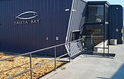 Tribunal admite requerimiento de Caleta Bay por entrega de información sanitaria