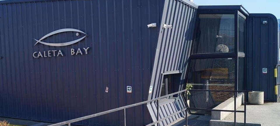 Caleta Bay interpone recurso de reposición contra resolución de la Corte Suprema