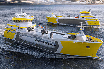 Construirán nuevas naves para procesamiento de salmón a bordo