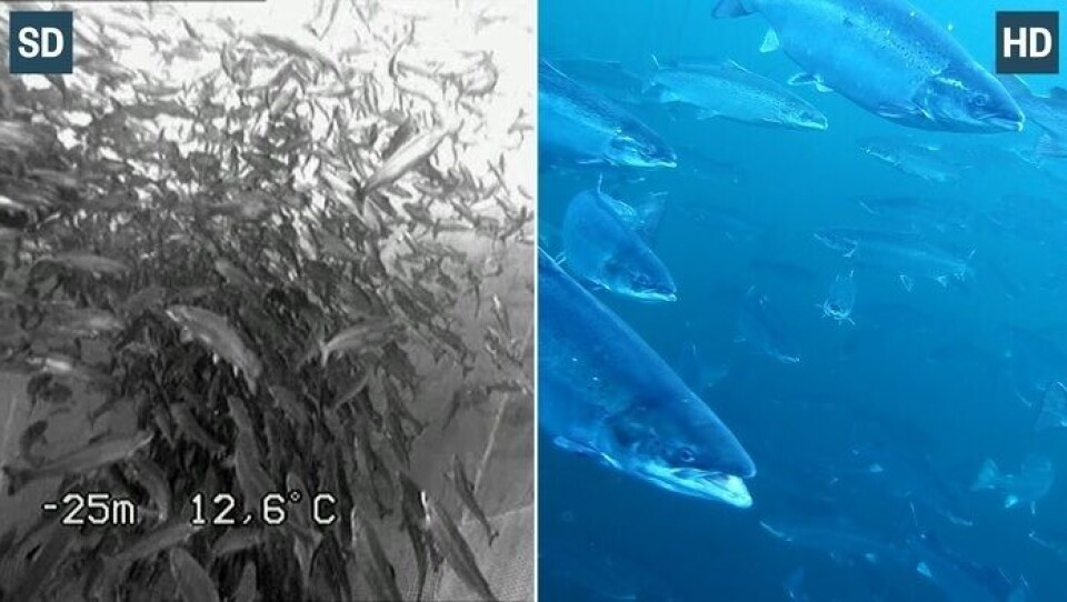 Una imagen de pantalla dividida muestra la diferencia entre definición estándar y alta definición 4K.