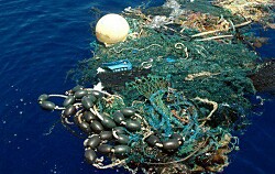 Cambio climático empeoraría problema del plástico en la acuicultura